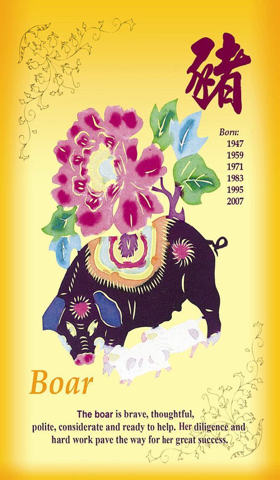 Year of the Boar Post Card, Front Side